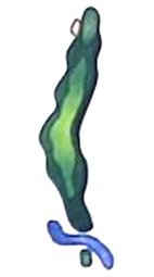 Graphic for Hole 15 at Darlington Country Club